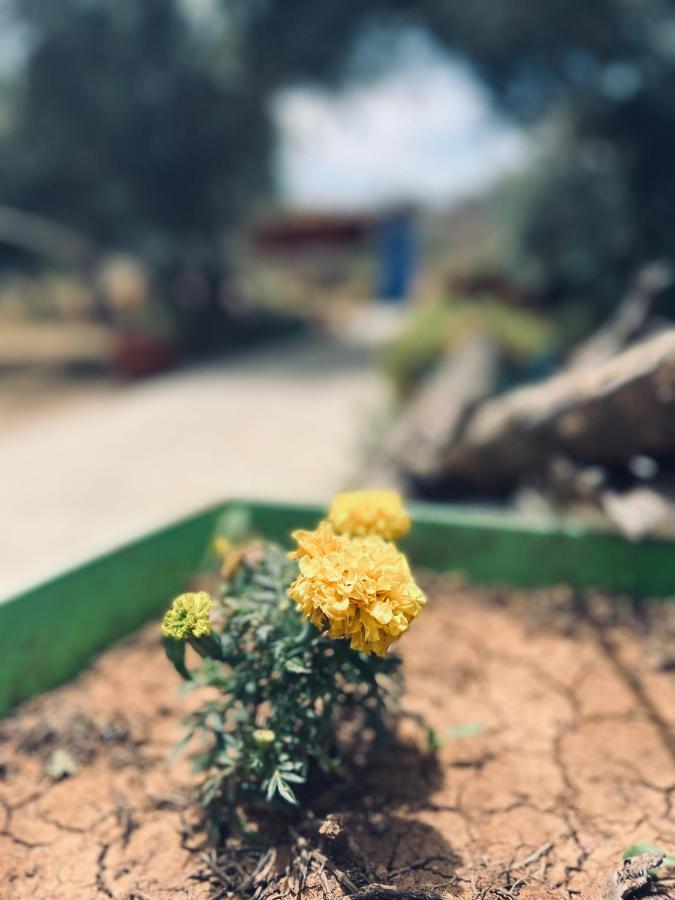 Ibn Khaldoon Appartement Madaba Buitenkant foto